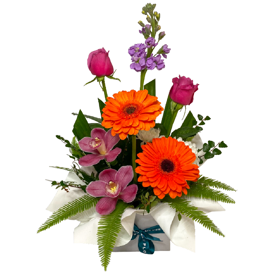 Cute, sweet and full of colour. A beautiful combination of flowers and colours to lift the home or a loved ones spirits. Blooms may include Tasmanian grown Roses and Gerberas, Orchids, Liliums and Carnations. 