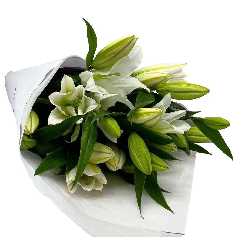 A stunning bouquet of white Oriental Liliums for Christmas? Yes please! These will have the home smelling beautiful and will present fabulously in a vase. 